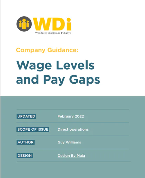 Company guidance 2022: wage levels and pay gaps