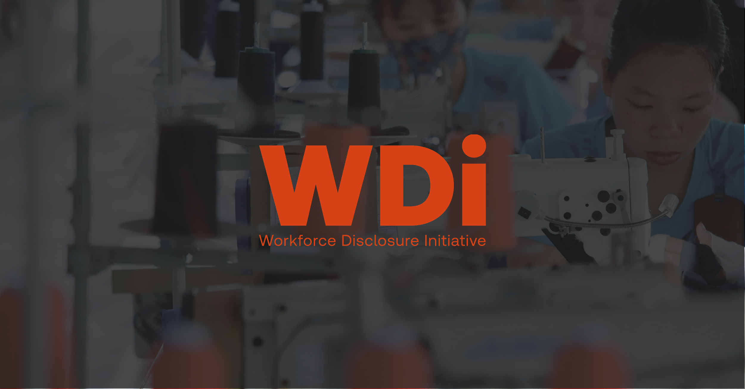 Image with WDI logo